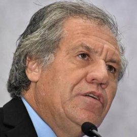 De nuevo la OEA, injerencismo De nuevo la OEA, injerencismo