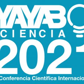 <strong>VI Conferencia Científica Internacional</strong>