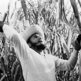 Siempre Fidel Siempre Fidel