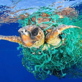 Soñemos un mundo #SinContaminaciónPorPlásticos Soñemos un mundo #SinContaminaciónPorPlásticos