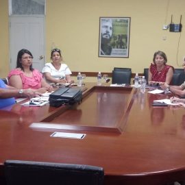 Visita de asesoría de la DRH del MES en la UNISS Visita de asesoría de la DRH del MES en la UNISS