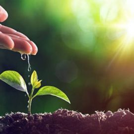 Tarea Vida y el 5 de junio Tarea Vida y el 5 de junio