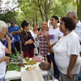 Cátedra de la Mujer y la Familia apuesta por la igualdad de género Cátedra de la Mujer y la Familia apuesta por la igualdad de género