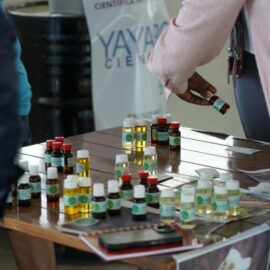 Ecos de Yayabociencia Ecos de Yayabociencia